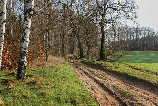 Que ver en Polonia, naturaleza, campo.